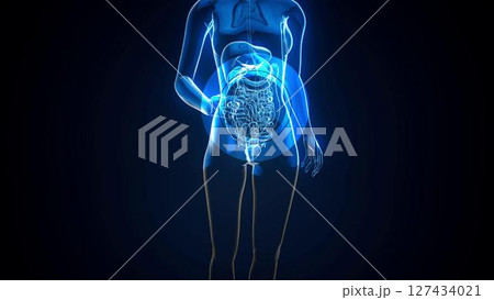 woman_gut_nu_clear 127434021