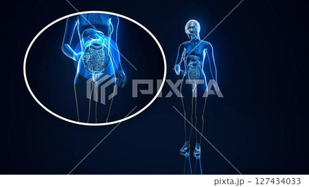 woman_gut_nu_clear_far3 127434033