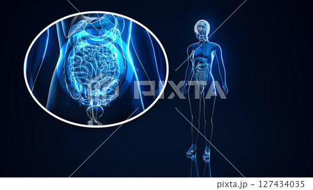 woman_gut_nu_clear_far3 127434035