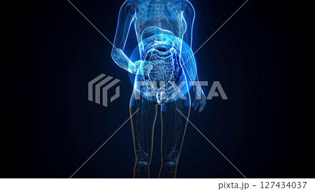 woman_gut_nu_i1 127434037