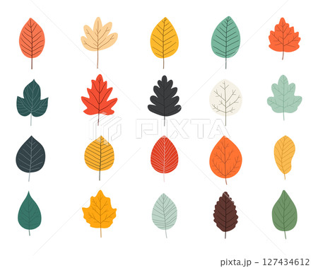 Assorted colorful leaf collection in vibrant autumn and summer hues. Assorted colorful leaf collection in vibrant autumn and summer hues. 127434612