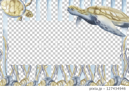 Seaweeds,sea shells and big turtle in blue and beige colors on striped background watercolor banner template. Hand drawn frame with deep sea creatures and flora, nautical clipart for card design 127434946