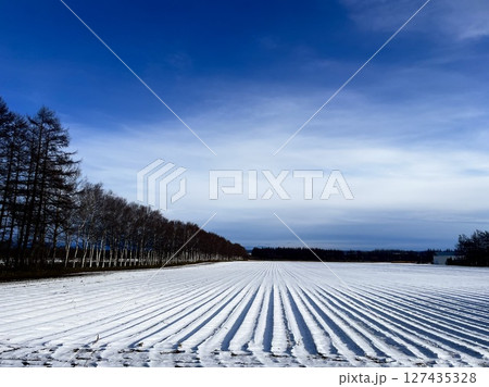 北海道の雪の中の畑 北海道の雪の中の畑 127435328