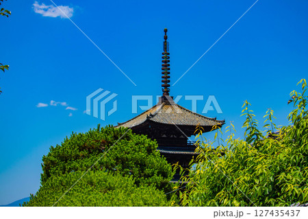 【京都風景】法観寺　美しいシルエットの八坂の塔 127435437