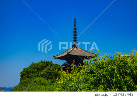 【京都風景】法観寺　美しいシルエットの八坂の塔 127435442