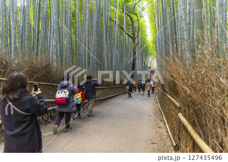 Kyoto, Japan - Jan 1,2023 : People walking in the aisle of Bamboo Forest of the Arashiyama Bamboo Grove in Kyoto, Japan on Jan 1,2023. Kyoto, Japan - Jan 1,2023 : People walking in the aisle of Bamboo Forest of the Arashiyama Bamboo Grove in Kyoto, Japan on Jan 1,2023. 127435496