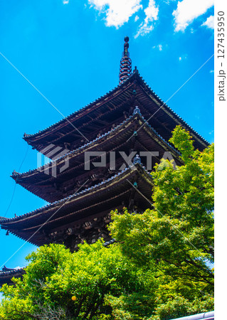 【京都風景】法観寺　美しいシルエットの八坂の塔 127435950