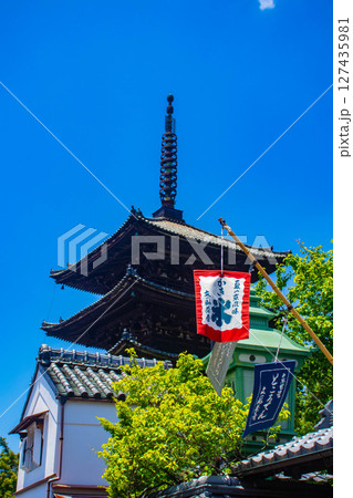 【京都風景】法観寺 美しいシルエットの八坂の塔 【京都風景】法観寺 美しいシルエットの八坂の塔 127435981