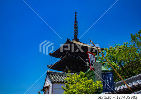 【京都風景】法観寺 美しいシルエットの八坂の塔 【京都風景】法観寺 美しいシルエットの八坂の塔 127435982