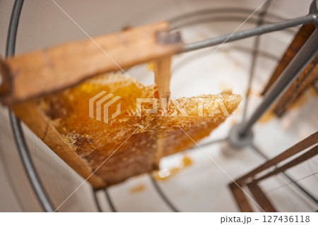 Honeycomb, natural product and honey production, harvest and manufacturing of sustainable organic produce with wood frame. Beekeeping industry, farm fresh and bee farming closeup and food extraction. 127436118