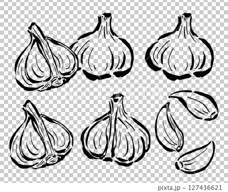 大蒜 - 切成兩半的橫切面、一片等 - 僅單色線圖 127436621