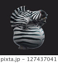 Fun 3D cartoon zebra talking (with alpha channel) 127437041