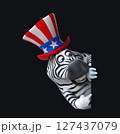 Fun 3D cartoon zebra with an uncle sam hat (with alpha channel) 127437079