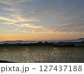 早朝の田んぼ 127437188