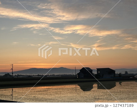 早朝の田んぼ 127437189