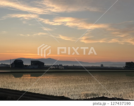 早朝の田んぼ 127437190