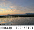 早朝の田んぼ 127437191