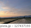 早朝の田んぼ 127437193