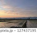 早朝の田んぼ 127437195