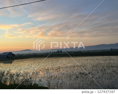 早朝の田んぼ 127437197