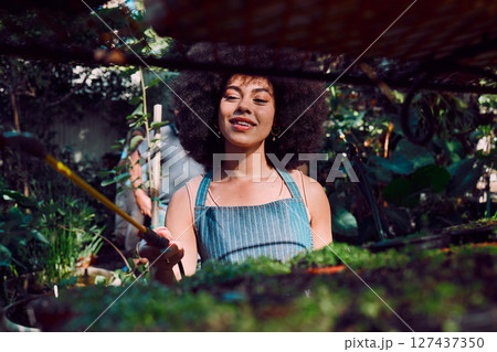 Water plants, gardening and black woman with green shop, store or small business smile for growth success, goals and working in spring. Happy young african garden or greenhouse manager in agriculture Water plants, gardening and black woman with green shop, store or small business smile for growth success, goals and working in spring. Happy young african garden or greenhouse manager in agriculture 127437350