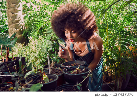 Plant shop, black woman and magnifying glass for greenhouse quality control, ecology and inspection for growth and development in garden or nursery shop. Female with magnifier for eco plants business 127437370