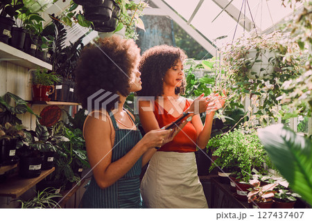Woman, tablet and plants in discussion in greenhouse for analysis, farming or leaves growth in summer. Black woman, horticulture startup or talking together for plant health, farm or sustainability Woman, tablet and plants in discussion in greenhouse for analysis, farming or leaves growth in summer. Black woman, horticulture startup or talking together for plant health, farm or sustainability 127437407