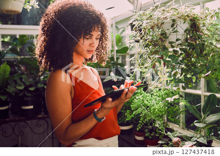 Greenhouse, plants and tablet of black woman for digital application, website management and stock inventory for agriculture industry. Seller, small business owner and online website for growth tips 127437418