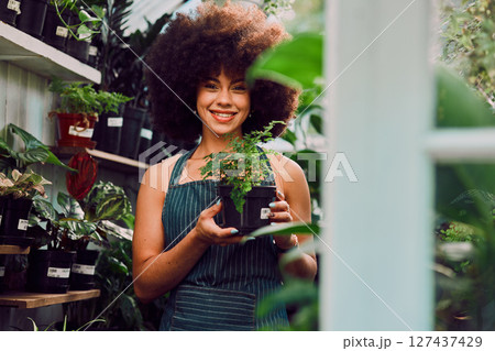 Plants, startup and small business owner or black woman in garden or nursery shop with a smile for ecology, greenhouse or sale. Female with green plant for gardening, retail store and environment 127437429