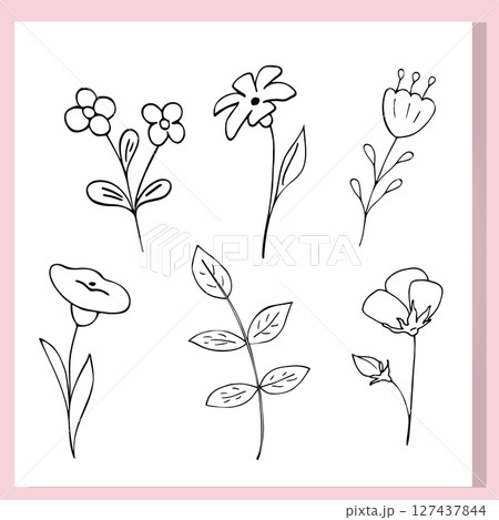 A set of six hand-drawn black and white floral doodles. Minimalistic cartoon-style flowers and leaves outlined on a white background with a pink frame. A set of six hand-drawn black and white floral doodles. Minimalistic cartoon-style flowers and leaves outlined on a white background with a pink frame. 127437844