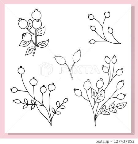 Minimal hand-drawn rosehip set featuring linear berry branches. Elegant botanical collection perfect for natural-themed designs, logos, packaging, and DIY craft projects. 127437852