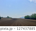 十勝の広大な畑 127437885
