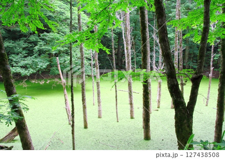 白神山地（長池） 127438508