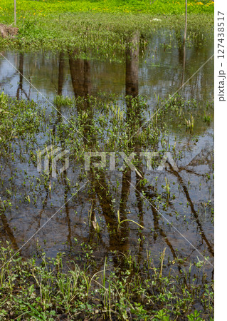 Reflection of trees in still water amidst green vegetation in Ternopil oblast Ukraina at midday Reflection of trees in still water amidst green vegetation in Ternopil oblast Ukraina at midday 127438517