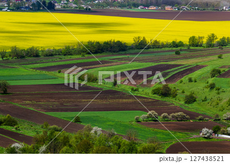 Vibrant fields of green and yellow stretch across rolling hills in a rural landscape during springtime 127438521