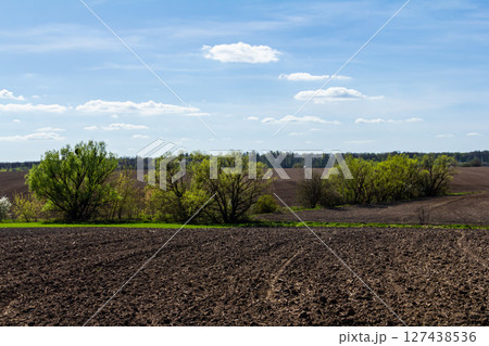 Sunlit rural landscape with green trees and cultivated farmland under a clear sky during springtime Sunlit rural landscape with green trees and cultivated farmland under a clear sky during springtime 127438536