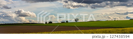 Bright green fields and dramatic clouds under a vast sky near a rural landscape capture the essence of tranquil nature in late afternoon Bright green fields and dramatic clouds under a vast sky near a rural landscape capture the essence of tranquil nature in late afternoon 127438594