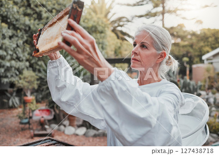 Beekeeping, honeycomb and agriculture with a woman farmer working in the production of honey in the countryside. Farm, sustainability and frame with a female beekeeper at work in natural industry Beekeeping, honeycomb and agriculture with a woman farmer working in the production of honey in the countryside. Farm, sustainability and frame with a female beekeeper at work in natural industry 127438718