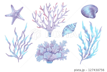 Collection of purple sea elements corals, seaweed, shells, starfish. Watercolor illustrations. Underwater nature of the seabed. Hand drawn isolated art. Clipart for children's design, tourism, travel 127438756