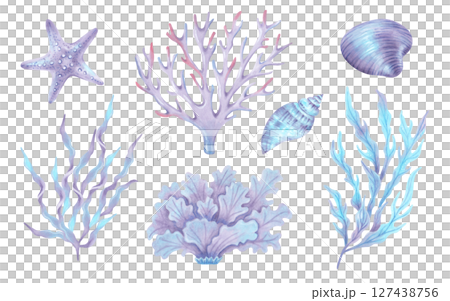 Collection of purple sea elements corals, seaweed, shells, starfish. Watercolor illustrations. Underwater nature of the seabed. Hand drawn isolated art. Clipart for children's design, tourism, travel 127438756