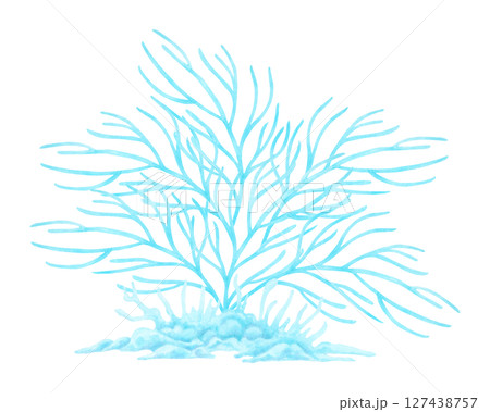 Branched blue coral. Watercolor and marker illustrations. Underwater animals of the seabed. Hand drawn isolated art. Ocean coral reef. Exotic plants for guidebooks, childrens design, tourism design Branched blue coral. Watercolor and marker illustrations. Underwater animals of the seabed. Hand drawn isolated art. Ocean coral reef. Exotic plants for guidebooks, childrens design, tourism design 127438757