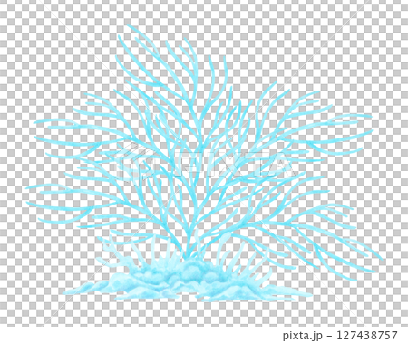 Branched blue coral. Watercolor and marker illustrations. Underwater animals of the seabed. Hand drawn isolated art. Ocean coral reef. Exotic plants for guidebooks, childrens design, tourism design Branched blue coral. Watercolor and marker illustrations. Underwater animals of the seabed. Hand drawn isolated art. Ocean coral reef. Exotic plants for guidebooks, childrens design, tourism design 127438757