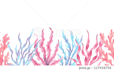 Multicolored seaweed. Seamless border composition. Watercolor botanical illustration. Hand drawn isolated art. Natural form of marine flora. Banner for travel, childrens design , underwater theme Multicolored seaweed. Seamless border composition. Watercolor botanical illustration. Hand drawn isolated art. Natural form of marine flora. Banner for travel, childrens design , underwater theme 127438758
