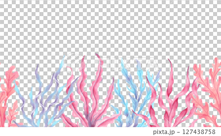 Multicolored seaweed. Seamless border composition. Watercolor botanical illustration. Hand drawn isolated art. Natural form of marine flora. Banner for travel, childrens design , underwater theme Multicolored seaweed. Seamless border composition. Watercolor botanical illustration. Hand drawn isolated art. Natural form of marine flora. Banner for travel, childrens design , underwater theme 127438758