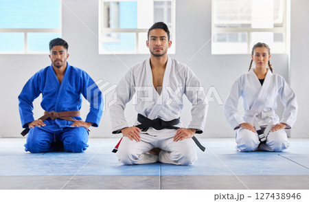 Portrait, training and karate group with coach in dojo ready for exercise or workout. Taekwondo, martial arts or group of students kneeling with teacher preparing for fight, match or fitness practice 127438946