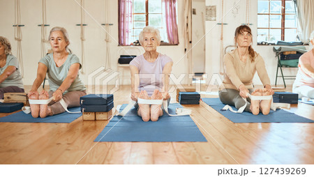 Yoga, exercise and senior women for balance, peace and wellness in a zen health studio together. Fitness, retirement and elderly friends doing a pilates workout for mind, body and spiritual wellness. 127439269