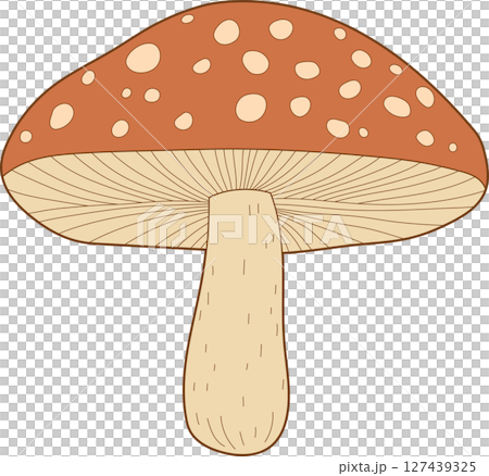 Whimsical mushroom with a speckled cap and sturdy stem, ready for a fairytale Whimsical mushroom with a speckled cap and sturdy stem, ready for a fairytale 127439325