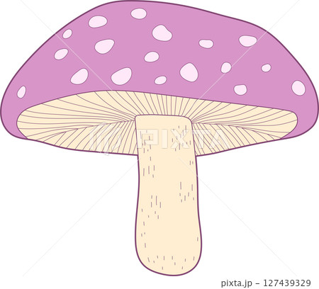 Illustration of an isolated purple mushroom with white spots and cream stem. 127439329