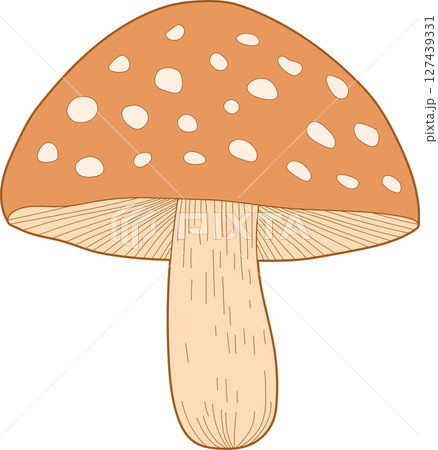 A cartoon illustration of a mushroom with spots on a dark background. 127439331