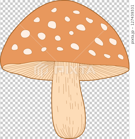 A cartoon illustration of a mushroom with spots on a dark background. 127439331